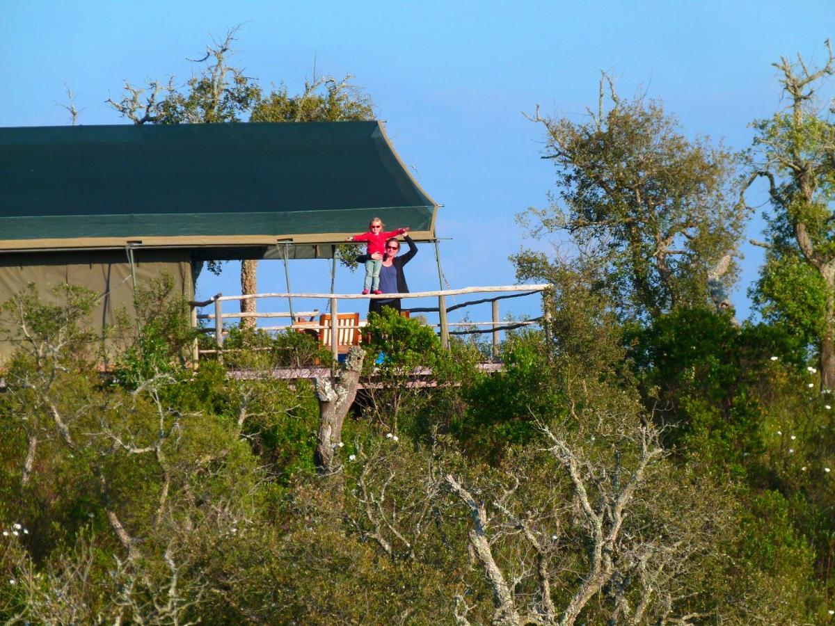 Eco Glamping Portugal Nature Lodge Sao Luis Bagian luar foto