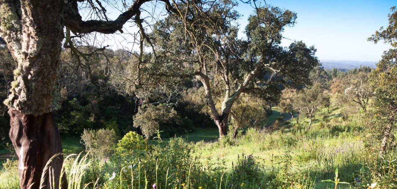 Eco Glamping Portugal Nature Lodge Sao Luis Bagian luar foto