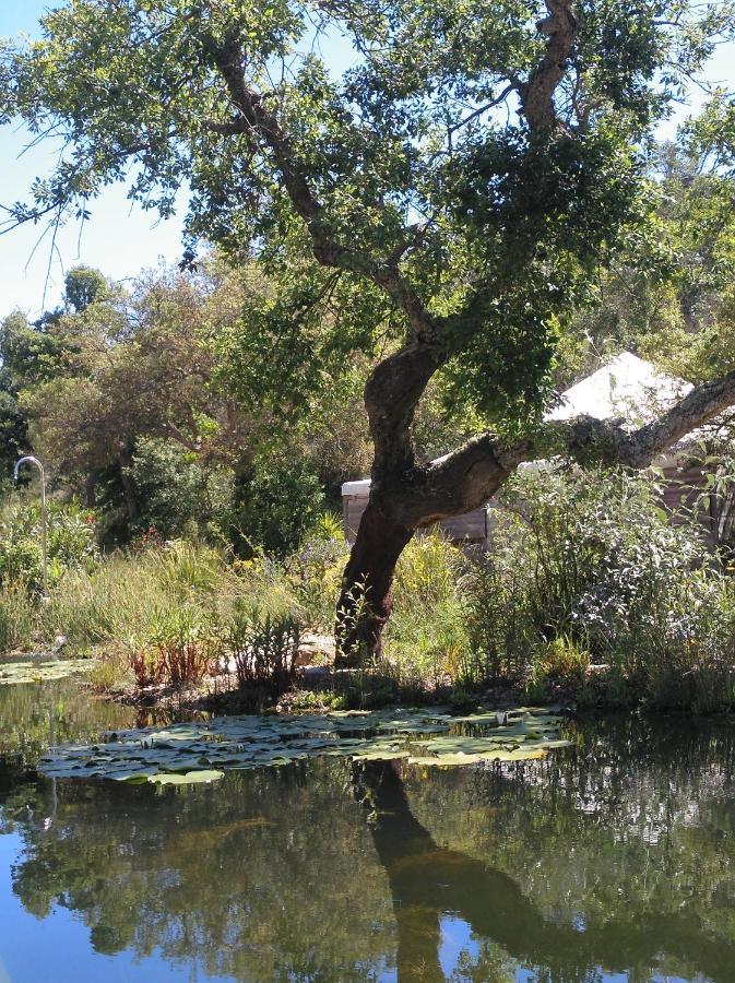 Eco Glamping Portugal Nature Lodge Sao Luis Bagian luar foto