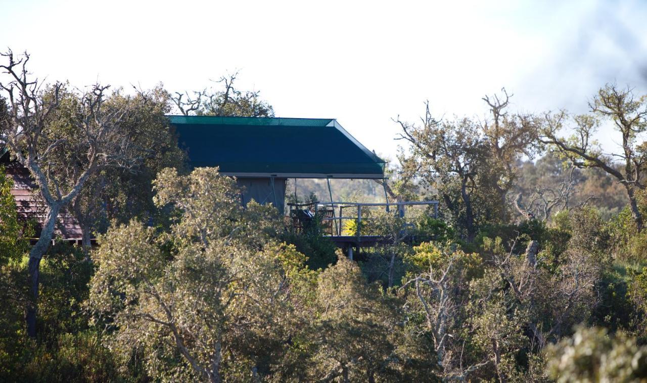 Eco Glamping Portugal Nature Lodge Sao Luis Bagian luar foto